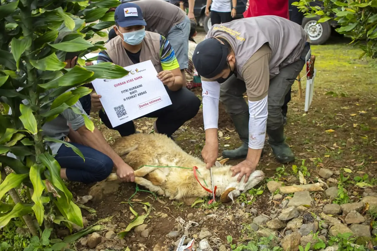 Cara Mengolah Packaging Daging Qurban Untuk Jangka Panjang